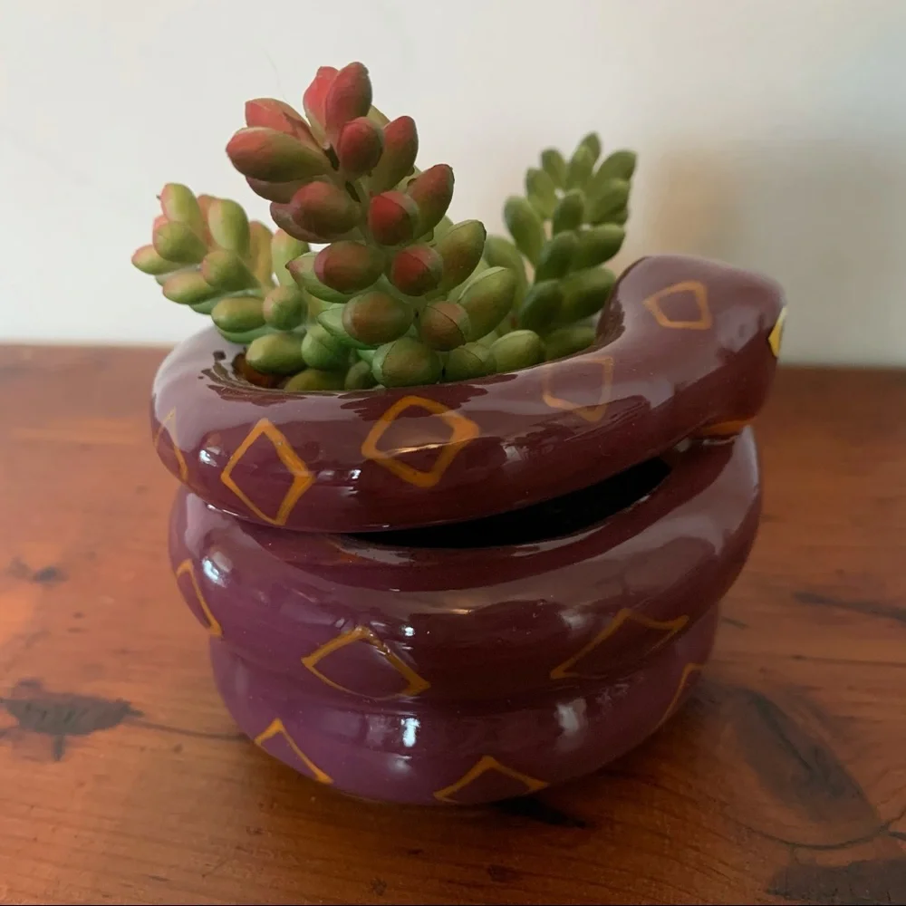 NIB Target Halloween Snake Succulent Planter